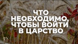 Как войти в Царство? / Начни этот день с Богом (14.01.22) / утренняя молитва, духовный маяк
