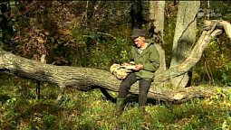 Доступное писание | С любовью к русской природе