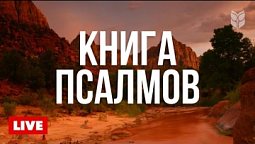 ???? Огонь и Слово Божье — Библия у костра | ???? Онлайн 24/7