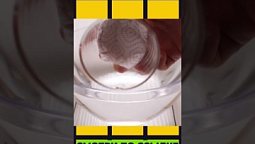 Неожиданный опыт с водой #shorts