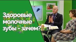 Детское здоровье: внимание на молочные зубы | Здравствуйте