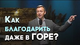 Как можно за всё благодарить | Живая проповедь