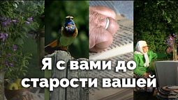 Я с вами до старости вашей | С любовью к русской природе