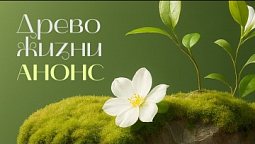 Анонс | Древо жизни