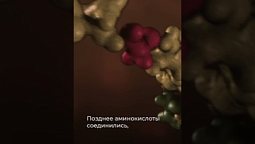 Жизнь из неживой материи