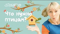 Что нужно птицам? Серия 39 | Ломастер