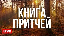 ???? Мудрые мысли из Притчей | Чтение Библии 24/7