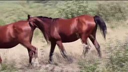 Прямая трансляция пользователя Телеканал ЗДОРОВЬЕ