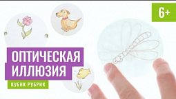 Суперлюбопытно создать оптическую иллюзию. Кубик Рубрик (6+)