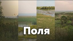 Поля | С любовью к русской природе