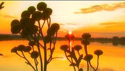 Буду величати | С любовью к русской природе