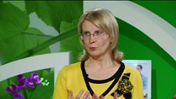 Прямая трансляция пользователя Телеканал ЗДОРОВЬЕ