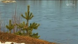 Половодье | С любовью к русской природе