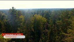 Зелёный океан | С любовью от Бога