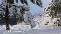 Session Highlights, Dec. 11-21, 2017