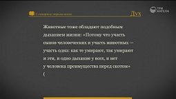 Библейский словарь: Дух | Слово Твоё