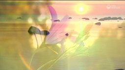 Великие чудеса | Библия и природа