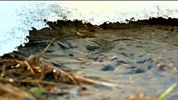 Бог исцеляет тишиной | Библия и природа