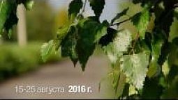 Видеонастроение 15–25.08.16