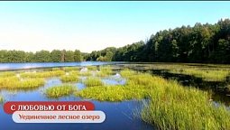 Уединенное лесное озеро | С любовью от Бога