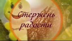 Стержень радости