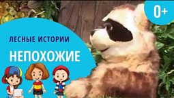 Непохожие прохожие | Лесные истории (0+)