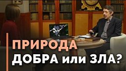 Божья любовь и естественный отбор: чему учит природа | Тайна жизни