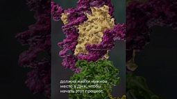 Сложность создания живой клетки #сотворениемира