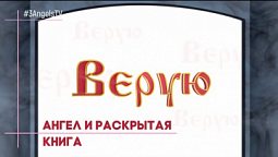 Ангел и раскрытая книга #446