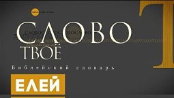 Библейский словарь: Елей | Слово Твоё