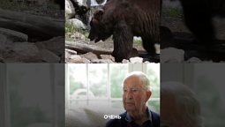 Тайна деревьев