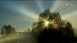 Будущее будет | С любовью к русской природе