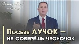Что посеешь, то и пожнёшь | Благословения на каждый день