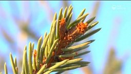 Бог нам прибежище и сила | Библия и природа