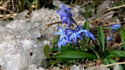 Юный апрель | С любовью к русской природе