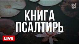 ???? Псалмы для души | Круглосуточная трансляция Библии
