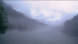 Густой туман клубится... | С любовью к русской природе