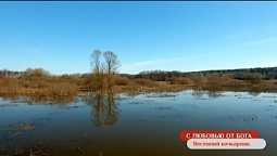 Весенний кочкарник | С любовью от Бога