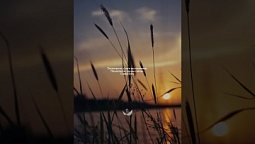 ???? Слава Богу за все!