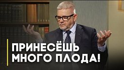 Духовный плод — какой он? | Открытая Книга